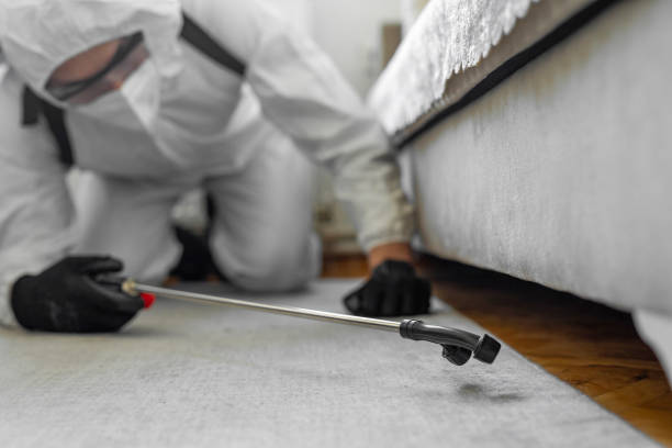 Professional Emergency Pest Control technician working in East Moriches, NY
