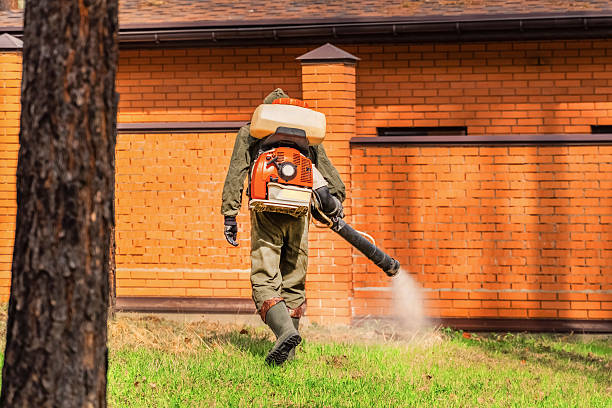 Trusted Bed Bug Control service in East Moriches, NY - Nex Pest Control